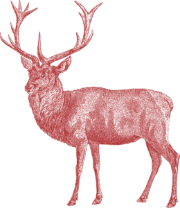 Stencil of a stag